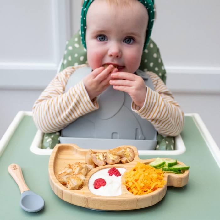 Elephant - Luxury Bamboo Suction Baby Plate Set