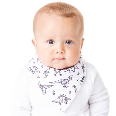 Roarsome - Luxury Dinosaur Bandana Bib