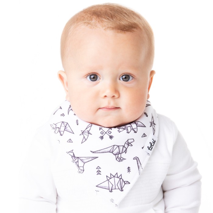 Roarsome - Luxury Dinosaur Bandana Bib